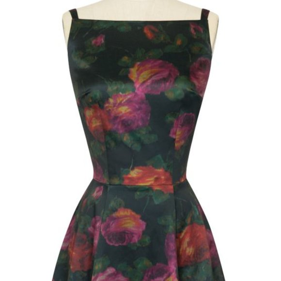 Trashy Diva Dresses & Skirts - NWT Trashy Diva Sabrina Dress in Fresco Floral